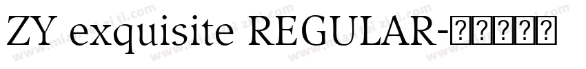 ZY exquisite REGULAR字体转换